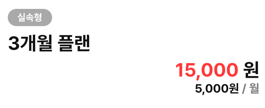 3개월 플랜